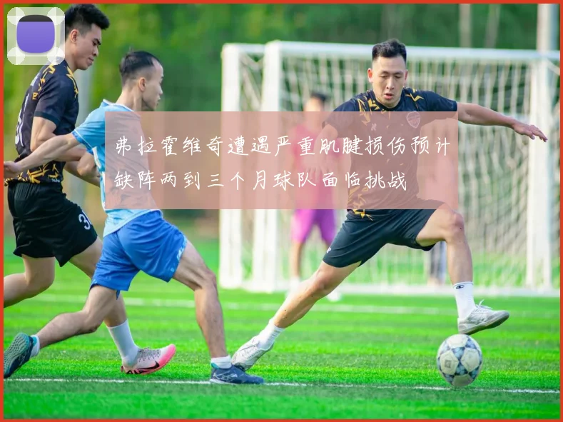 弗拉霍维奇遭遇严重肌腱损伤预计缺阵两到三个月球队面临挑战