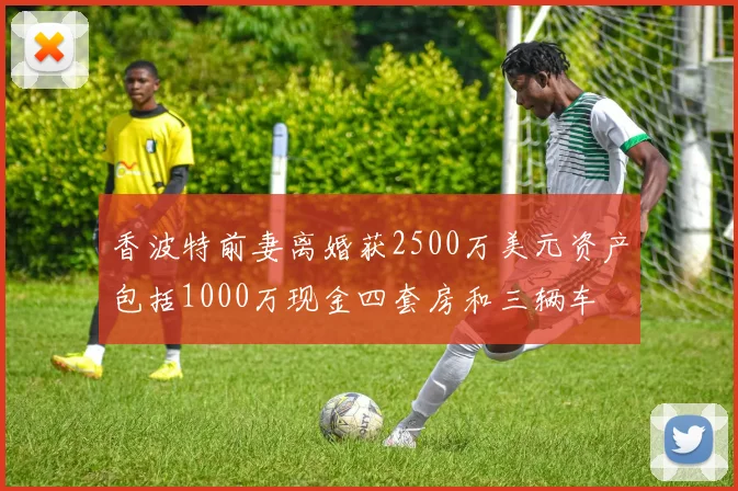 香波特前妻离婚获2500万美元资产包括1000万现金四套房和三辆车