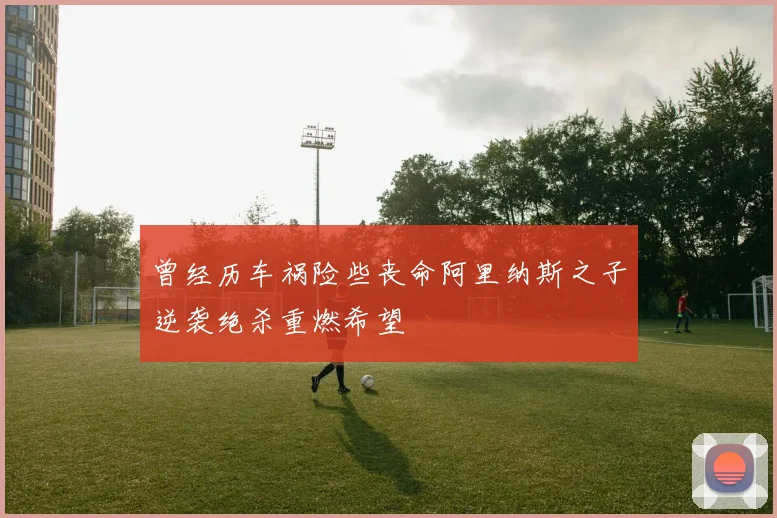 曾经历车祸险些丧命阿里纳斯之子逆袭绝杀重燃希望